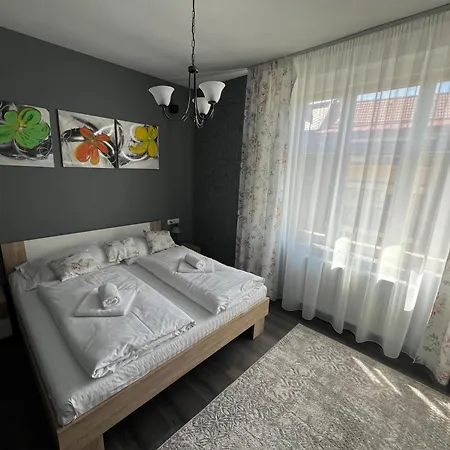 Cute Apartment