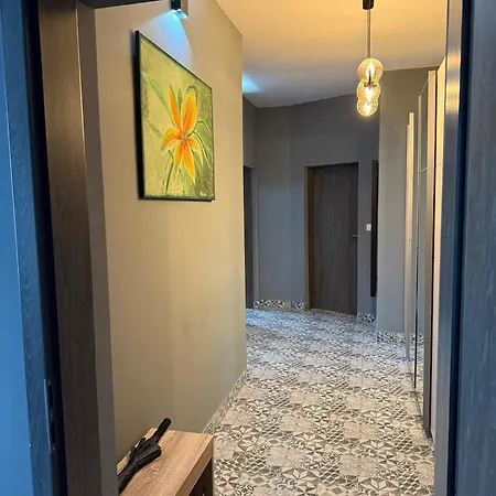 Cute Apartment