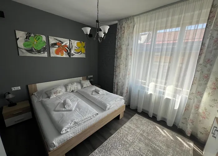 Cute Apartment