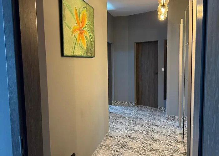 Cute Apartamento